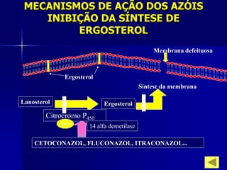 MECANISMOS DE AÇÃO DOS AZÓIS
    INIBIÇÃO DA SÍNTESE DE
         ERGOSTEROL
                                              Membrana defeituosa



             Ergosterol
                                          Síntese da membrana

Lanosterol                Ergosterol
        Citrocromo P450
                     14 alfa demetilase

    CETOCONAZOL, FLUCONAZOL, ITRACONAZOL...
 