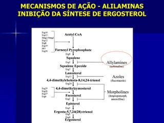 MECANISMOS DE AÇÃO - ALILAMINAS
INIBIÇÃO DA SÍNTESE DE ERGOSTEROL
 