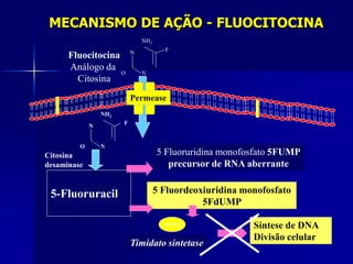 MECANISMO DE AÇÃO - FLUOCITOCINA
                               NH2
                                       F
                           N
      Fluocitocina
      Análogo da
                   O           N
        Citosina
                           Permease
                 NH2

             N         F


         O       N
Citosina                             5 Fluoruridina monofosfato 5FUMP
desaminase                              precursor de RNA aberrante


 5-Fluoruracil                       5 Fluordeoxiuridina monofosfato
                                                5FdUMP

                                                           Síntese de DNA
                                                           Divisão celular
                           Timidato sintetase
 