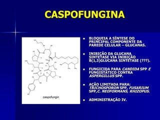 CASPOFUNGINA

        BLOQUEIA A SÍNTESE DO
         PRINCIPAL COMPONENTE DA
         PAREDE CELULAR – GLUCANAS.

        INIBIÇÃO DA GLUCANA
         SINTETASE VIA INIBIÇÃO
         Β(1,3)GLUCANA SINTETASE (???).

        FUNGICIDA PARA CANDIDA SPP E
         FUNGISTÁTICO CONTRA
         ASPERGILLUS SPP.

        AÇÃO LIMITADA PARA:
         TRICHOSPORON SPP, FUSARIUM
         SPP,C. NEOFORMANS, RHIZOPUS.

        ADMINISTRAÇÃO IV.
 