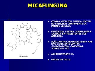 MICAFUNGINA

        COMO A ANTERIOR, INIBE A SÍNTESE
         DO PRINCIPAL COMPONENTE DA
         PARADE CELULAR.

        FUNGICIDA CONTRA CANDIDA SPP E
         CANDIDA SPP RESISTENTES AOS
         AZÓLICOS.

        AÇÃO CONTRA ASPERGILLUS SPP MAS
         NÃO É EFICIENTE CONTRA
         CLADOSPORIUM, EXOPHIALA,
         FONSECAEA, ETC.

        ADMINISTRAÇÃO IV.

        DROGA EM TESTE.
 