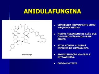 ANIDULAFUNGINA

          CONHECIDA PREVIAMENTE COMO
           V-EQUINOCANDINA.

          MESMO MECANISMO DE AÇÃO QUE
           OS OUTROS FÁRMACOS DESTE
           GRUPO.

          ATIVA CONTRA ALGUMAS
           ESPÉCIES DE CANDIDA SPP.

          ADMINISTRAÇÃO VIA ORAL E
           INTRAVENOSA.

          DROGA EM TESTE
 
