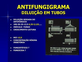 ANTIFUNGIGRAMA
            DILUIÇÃO EM TUBOS
   DILUIÇÃO SERIADA DO
    ANTIFÚNGICO
   100-50-25-12,5-6,25-3,125.....
   INÓCULO- FUNGO
   CRESCIMENTO-LEITURA



   MIC-12,5
   CONCENTRAÇÃO MÍNIMA
    INIBITÓRIA

   FUNGISTÁTICO ?
   FUNGICIDA ?
 