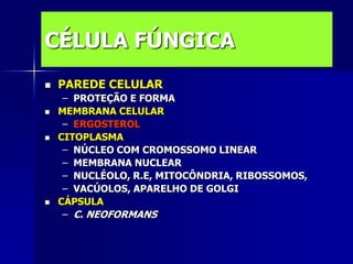 CÉLULA FÚNGICA
   PAREDE CELULAR
     – PROTEÇÃO E FORMA
   MEMBRANA CELULAR
     – ERGOSTEROL
   CITOPLASMA
     – NÚCLEO COM CROMOSSOMO LINEAR
     – MEMBRANA NUCLEAR
     – NUCLÉOLO, R.E, MITOCÔNDRIA, RIBOSSOMOS,
     – VACÚOLOS, APARELHO DE GOLGI
   CÁPSULA
     – C. NEOFORMANS
 