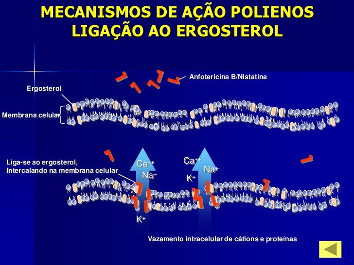 Antifúngicos Antifúngicos