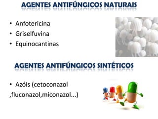 • Anfotericina
• Griselfuvina
• Equinocantinas




• Azóis (cetoconazol
,fluconazol,miconazol...)
 