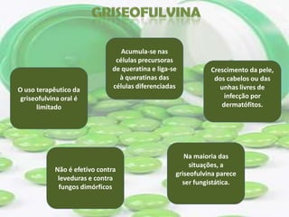 Acumula-se nas
                               células precursoras
                              de queratina e liga-se          Crescimento da pele,
                                à queratinas das               dos cabelos ou das
O uso terapêutico da          células diferenciadas              unhas livres de
 griseofulvina oral é                                             infecção por
      limitado                                                   dermatófitos.




                                                      Na maioria das
                                                        situações, a
            Não é efetivo contra
                                                   griseofulvina parece
             leveduras e contra
                                                     ser fungistática.
             fungos dimórficos
 