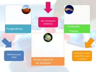 São compostos
                        sintéticos
                                      Imidazólis
Fungistáticos
                                       Triazóis




                                           Imidazóis menos
Seletivos para
                                            específicos que
    P450
                 Amplo espectro                o triazóis
                  de atividade
 