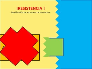 ANFOTERICINA B
¡RESISTENCIA !
Modificación de estructura de membrana
 