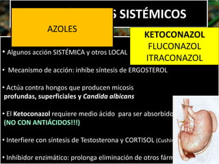 • Algunos acción SISTÉMICA y otros LOCAL
• Mecanismo de acción: inhibe síntesis de ERGOSTEROL
• Actúa contra hongos que producen micosis
profundas, superficiales y Candida albicans
• El Ketoconazol requiere medio ácido para ser absorbido
(NO CON ANTIÁCIDOS!!!)
• Interfiere con síntesis de Testosterona y CORTISOL (Cushing iatrogénico)
• Inhibidor enzimático: prolonga eliminación de otros fármacos
ANTIFÚNGICOS SISTÉMICOS
AZOLES
KETOCONAZOL
FLUCONAZOL
ITRACONAZOL
 