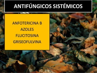 ANFOTERICINA B
AZOLES
FLUCITOSINA
GRISEOFULVINA
ANTIFÚNGICOS SISTÉMICOS
 