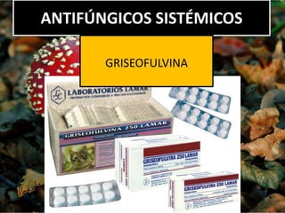 ANTIFÚNGICOS SISTÉMICOS
GRISEOFULVINA
 