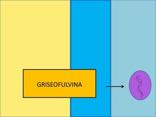 GRISEOFULVINA
 
