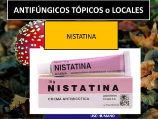 ANTIFÚNGICOS TÓPICOS o LOCALES
USO HUMANO
NISTATINA
 