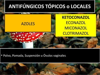• Polvo, Pomada, Suspensión u Óvulos vaginales
AZOLES
ANTIFÚNGICOS TÓPICOS o LOCALES
KETOCONAZOL
ECONAZOL
MICONAZOL
CLOTRIMAZOL
 