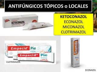 ANTIFÚNGICOS TÓPICOS o LOCALES
CLOTRIMAZOL
KETOCONAZOL
ECONAZOL
MICONAZOL
CLOTRIMAZOL
ECONAZOL
 