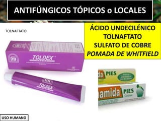 ANTIFÚNGICOS TÓPICOS o LOCALES
USO HUMANO
ÁCIDO UNDECILÉNICO
TOLNAFTATO
SULFATO DE COBRE
POMADA DE WHITFIELD
TOLNAFTATO
 