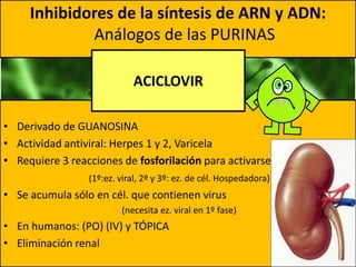 • Derivado de GUANOSINA
• Actividad antiviral: Herpes 1 y 2, Varicela
• Requiere 3 reacciones de fosforilación para activarse
(1º:ez. viral, 2º y 3º: ez. de cél. Hospedadora)
• Se acumula sólo en cél. que contienen virus
(necesita ez. viral en 1º fase)
• En humanos: (PO) (IV) y TÓPICA
• Eliminación renal
Inhibidores de la síntesis de ARN y ADN:
Análogos de las PURINAS
ACICLOVIR
 