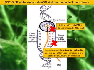 Inhibe unión del dGTP a
la polimerasa del ADN viral
Interrupción de la cadena de replicación
una vez que el fármaco se incorpora a la
cadena de ADN viral en formación
ACICLOVIR inhibe síntesis de ADN viral por medio de 2 mecanismos
 