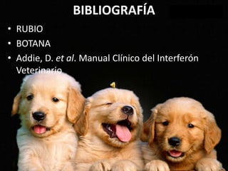 BIBLIOGRAFÍA
• RUBIO
• BOTANA
• Addie, D. et al. Manual Clínico del Interferón
Veterinario
 