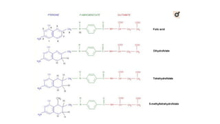 Anti folates in use for cancer chemotherapy | PPTX