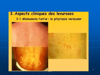 DR DIDOUH MOSTAFA COURS IFCS 2012
ANTIF
11
 