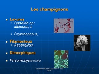 Les champignons
 Levures
• Candida sp:
albicans, s
• Cryptococcus,
 Filamenteux
• Aspergillus
 Dimorphiques
 Pneumocystis carinii
3DR DIDOUH MOSTAFA COURS IFCS 2012
ANTIF
 