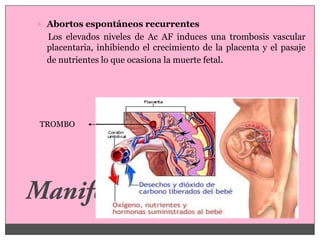  Abortos espontáneos recurrentes
 Los elevados niveles de Ac AF induces una trombosis vascular
 placentaria, inhibiendo el crecimiento de la placenta y el pasaje
 de nutrientes lo que ocasiona la muerte fetal.




TROMBO
 