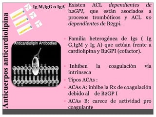Ig M,IgG o IgA Existen
                                                     ACL dependientes de
                                             b2GPI, que están asociados a
Anticuerpos anticardiolipina
                                             procesos trombóticos y ACL no
                                             dependientes de B2gpi.

                                            Familia heterogénea de Igs ( Ig
                                             G,IgM y Ig A) que actúan frente a
                                             cardiolipina y B2GPI (cofactor).

                                            Inhiben    la    coagulación    vía
                                             intrínseca
                                            Tipos ACAs :
                                            ACAs A: inhibe la Rx de coagulación
                                             debido al de B2GP I
                                            ACAs B: carece de actividad pro
                                             coagulante
 