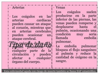  Arterias                            Venas
                                            Los
                                           coágulos     suelen
       Los coágulos en las        producirse en la parte
        arterias         cardíacas inferior de las piernas, las
        pueden causar un ataque venas pueden romperse y
        al corazón, mientras que desplazarse       hasta     el
        en arterias cerebrales pulmón, ocasionando una
        pueden ocasionar un condición            muy      seria
        ataque cerebral.           llamada             embolia
       Los coágulos de los aFL
                                   pulmonar.
        pueden producirse en  La embolia pulmonar
        cualquier parte de la bloquea el flujo sanguíneo
        circulación y pueden al pulmón y reduce la
        afectar    a     cualquier cantidad de oxígeno en la
        órgano del cuerpo.         sangre.

 Esta enfermedad aguda con riesgo de muerte también se llama SAF catastrófico.
 