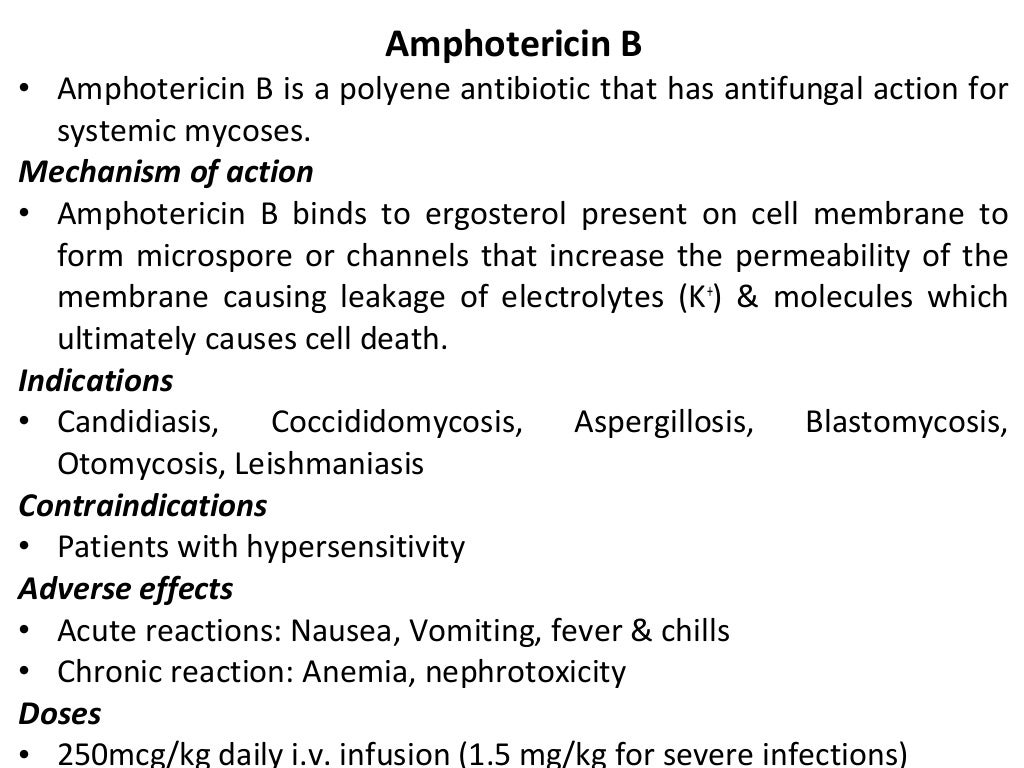 Antifungal drugs