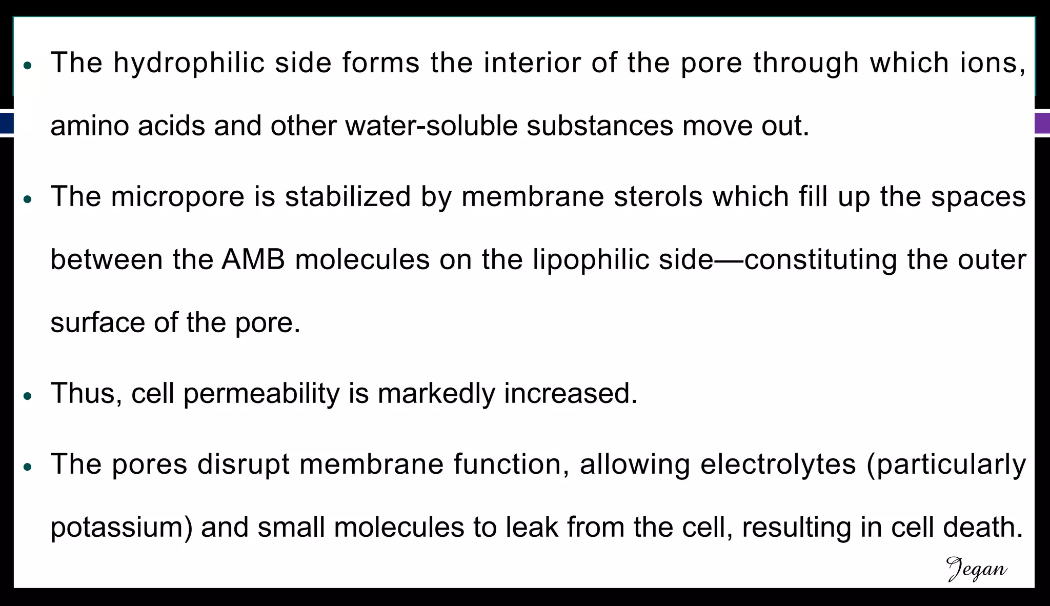 ANTI-FUNGAL DRUGS● The hydrophilic side forms the interior of the pore through which ions,
amino acids and other water-soluble substances move out.
● The micropore is stabilized by membrane sterols which fill up the spaces
between the AMB molecules on the lipophilic side—constituting the outer
surface of the pore.
● Thus, cell permeability is markedly increased.
● The pores disrupt membrane function, allowing electrolytes (particularly
potassium) and small molecules to leak from the cell, resulting in cell death.
Jegan
 