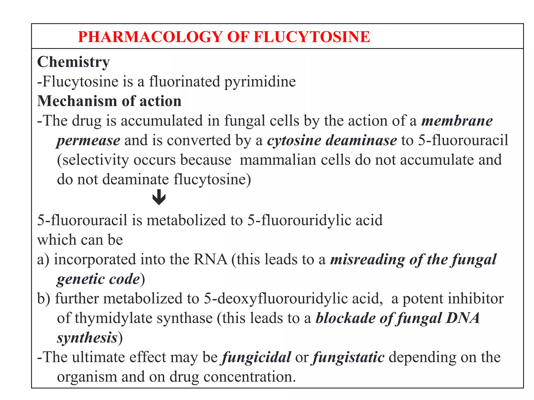 antifungal.ppt