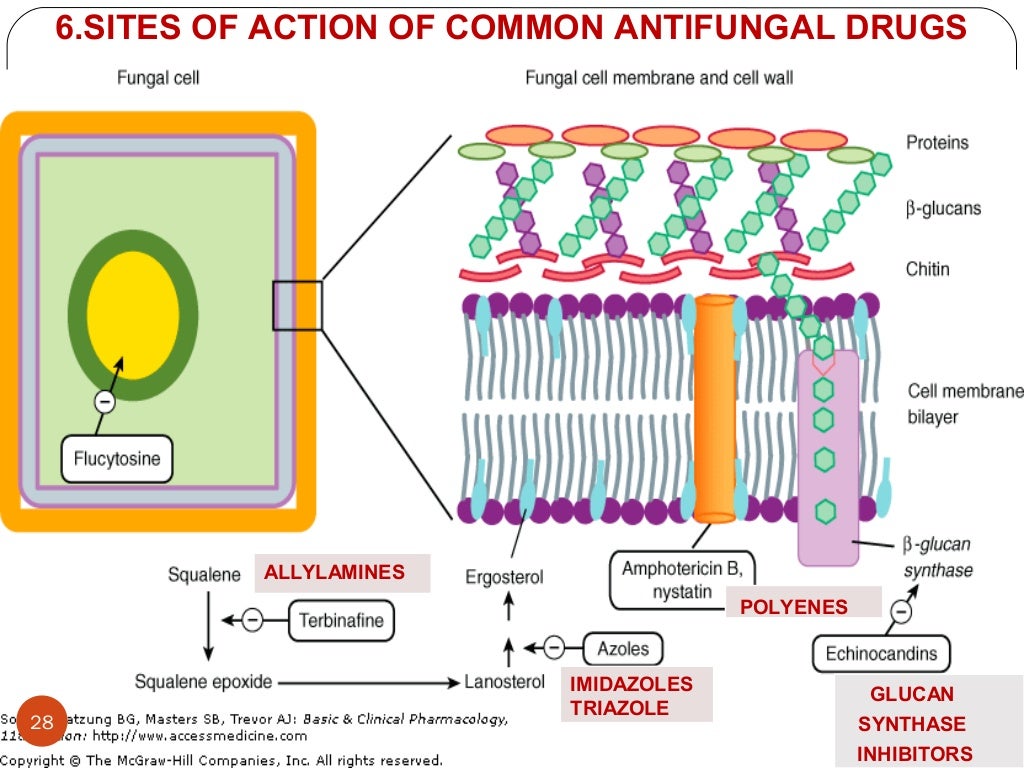 Medicinal chemistry of Antifungal agents