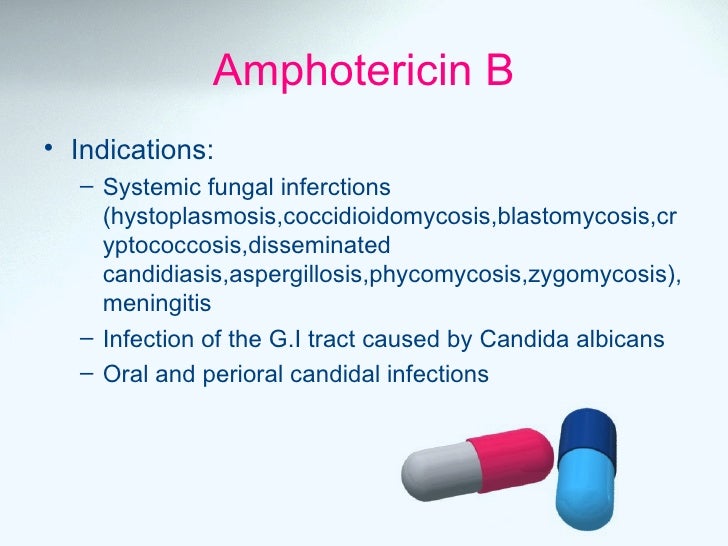 Antifungal Drugs