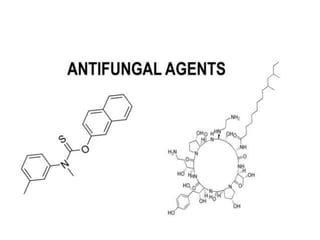 antifungal-drugs-97479844.pptx