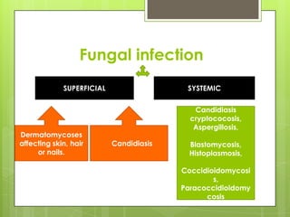 Fungal infection
SUPERFICIAL

Dermatomycoses
affecting skin, hair
or nails.

SYSTEMIC
Candidiasis
cryptococosis,
Aspergillosis,

Candidiasis

Blastomycosis,
Histoplasmosis,
Coccidioidomycosi
s,
Paracoccidioidomy
cosis

 