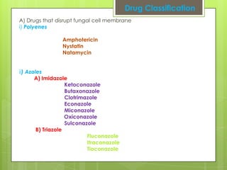 Drug Classification
A) Drugs that disrupt fungal cell membrane
i) Polyenes
Amphotericin
Nystatin
Natamycin

ii) Azoles
A) Imidazole
Ketoconazole
Butaxonazole
Clotrimazole
Econazole
Miconazole
Oxiconazole
Sulconazole
B) Triazole
Fluconazole
Itraconazole
Tioconazole

 