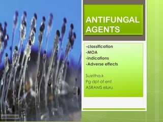 ANTIFUNGAL
AGENTS
-classification
-MOA
-indications
-Adverse effects
Susritha.k
Pg dpt of ent
ASRAMS eluru

 