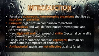 • Fungi are eukaryotic, heterotrophic organisms that live as
saprobes or parasites.
• Complex organisms in comparison to bacteria.
• Have nucleus and well defined nuclear membrane, and
chromosomes.
• Have rigid cell wall composed of chitin (bacterial cell wall is
composed of peptidoglycan).
• Fungal cell membrane contains ergosterol (human cell
membrane is composed of cholesterol).
• Antibacterial agents are not effective against fungi.
 