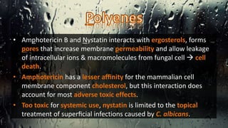 • Amphotericin B and Nystatin interacts with ergosterols, forms
pores that increase membrane permeability and allow leakage
of intracellular ions & macromolecules from fungal cell  cell
death.
• Amphotericin has a lesser afﬁnity for the mammalian cell
membrane component cholesterol, but this interaction does
account for most adverse toxic effects.
• Too toxic for systemic use, nystatin is limited to the topical
treatment of superﬁcial infections caused by C. albicans.
 