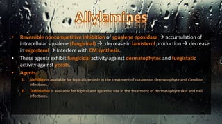 • Reversible noncompetitive inhibition of squalene epoxidase  accumulation of
intracellular squalene (fungicidal)  decrease in lanosterol production  decrease
in ergosterol  Interfere with CM synthesis.
• These agents exhibit fungicidal activity against dermatophytes and fungistatic
activity against yeasts.
• Agents:
1. Naftiﬁne is available for topical use only in the treatment of cutaneous dermatophyte and Candida
infections.
2. Terbinaﬁne is available for topical and systemic use in the treatment of dermatophyte skin and nail
infections.
 