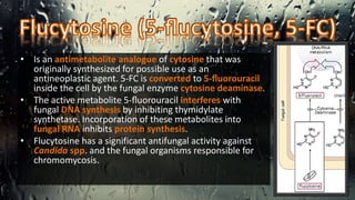 • Is an antimetabolite analogue of cytosine that was
originally synthesized for possible use as an
antineoplastic agent. 5-FC is converted to 5-ﬂuorouracil
inside the cell by the fungal enzyme cytosine deaminase.
• The active metabolite 5-ﬂuorouracil interferes with
fungal DNA synthesis by inhibiting thymidylate
synthetase. Incorporation of these metabolites into
fungal RNA inhibits protein synthesis.
• Flucytosine has a significant antifungal activity against
Candida spp. and the fungal organisms responsible for
chromomycosis.
 