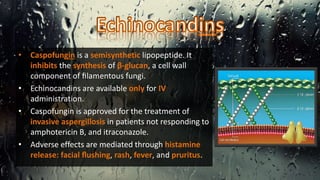 • Caspofungin is a semisynthetic lipopeptide. It
inhibits the synthesis of β-glucan, a cell wall
component of ﬁlamentous fungi.
• Echinocandins are available only for IV
administration.
• Caspofungin is approved for the treatment of
invasive aspergillosis in patients not responding to
amphotericin B, and itraconazole.
• Adverse effects are mediated through histamine
release: facial ﬂushing, rash, fever, and pruritus.
 