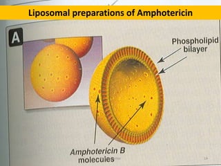 Anti fungal agents | PPTX