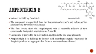 ▪ Isolated in 1956 by Gold et al.
▪ The compound was purified from the fermentation beer of a soil culture of the
actinomycete Streptomyces nodosus
▪ The first isolate from the streptomycete was a separable mixture of two
compounds, designated amphotericins A and B.
▪ Compound B proved to be more active, and this is the one used clinically.
▪ Amphotericin B is believed to interact with membrane sterols (ergosterol in
fungi) to produce an aggregate that forms a transmembrane channel.
 