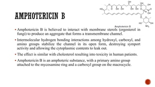 ▪ Amphotericin B is believed to interact with membrane sterols (ergosterol in
fungi) to produce an aggregate that forms a transmembrane channel.
▪ Intermolecular hydrogen bonding interactions among hydroxyl, carboxyl, and
amino groups stabilize the channel in its open form, destroying symport
activity and allowing the cytoplasmic contents to leak out.
▪ The effect is similar with cholesterol resulting into toxicity in human patients.
▪ Amphotericin B is an amphoteric substance, with a primary amino group
attached to the mycosamine ring and a carboxyl group on the macrocycle.
 
