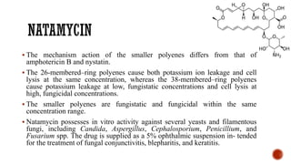 ▪ The mechanism action of the smaller polyenes differs from that of
amphotericin B and nystatin.
▪ The 26-membered–ring polyenes cause both potassium ion leakage and cell
lysis at the same concentration, whereas the 38-membered–ring polyenes
cause potassium leakage at low, fungistatic concentrations and cell lysis at
high, fungicidal concentrations.
▪ The smaller polyenes are fungistatic and fungicidal within the same
concentration range.
▪ Natamycin possesses in vitro activity against several yeasts and filamentous
fungi, including Candida, Aspergillus, Cephalosporium, Penicillium, and
Fusarium spp. The drug is supplied as a 5% ophthalmic suspension in- tended
for the treatment of fungal conjunctivitis, blepharitis, and keratitis.
 
