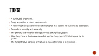 ▪ A eukaryotic organisms.
▪ Fungi are neither a plants, non animals
▪ A heterotrophic organism devoid of chlorophyll that obtains its nutrients by absorption.
▪ Reproduce sexually and asexually
▪ The primary carbohydrate storage product of fungi is glycogen.
▪ Most fungi have a thallus composed of hyphae (sing. hypha) that elongate by tip
growth
▪ The fungal thallus consists of hyphae; a mass of hyphae is a mycelium .
 