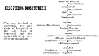 ▪ The steps involved in
converting the side
chain of lanosterol to
the side chain of
ergosterol and the
agents inhibiting these
steps are shown here
 
